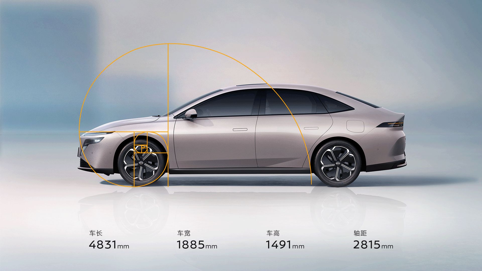 舒展修长的侧面