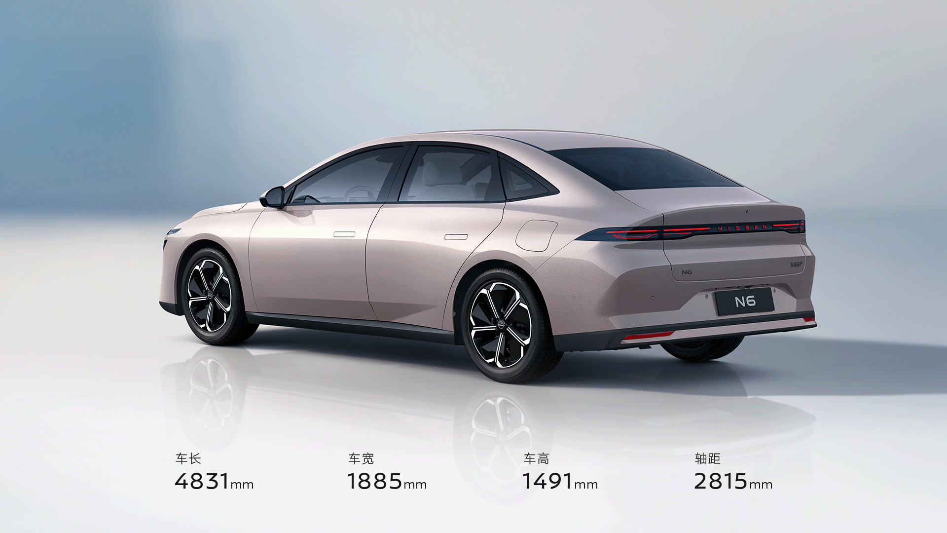 立体饱满的尾部